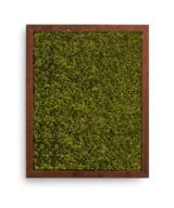 Moss Pure moss frame live moss live moss wall moss wall art