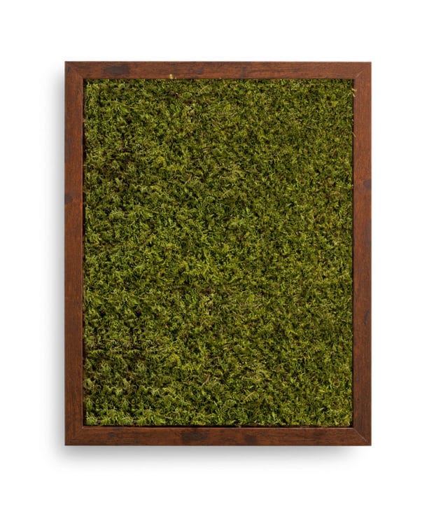 Moss Pure moss frame live moss live moss wall moss wall art