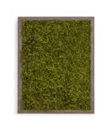 Moss Pure live moss wall moss frame moss wall art