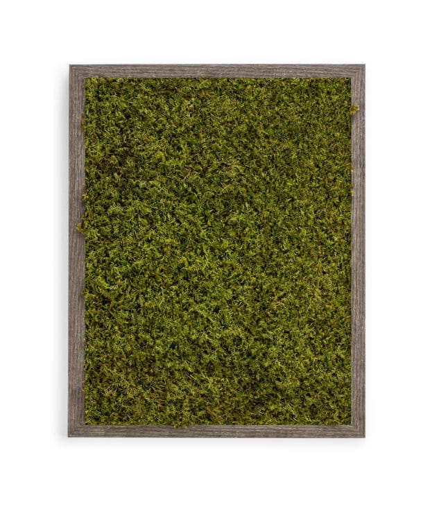 Moss Pure live moss wall moss frame moss wall art