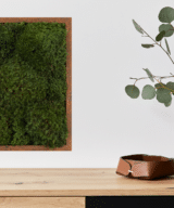 Moss Pure Moss Air Filter. Living moss wall art that improves air quality and provides therapeutic relief from stress and anxiety. Moss wall art in home.
