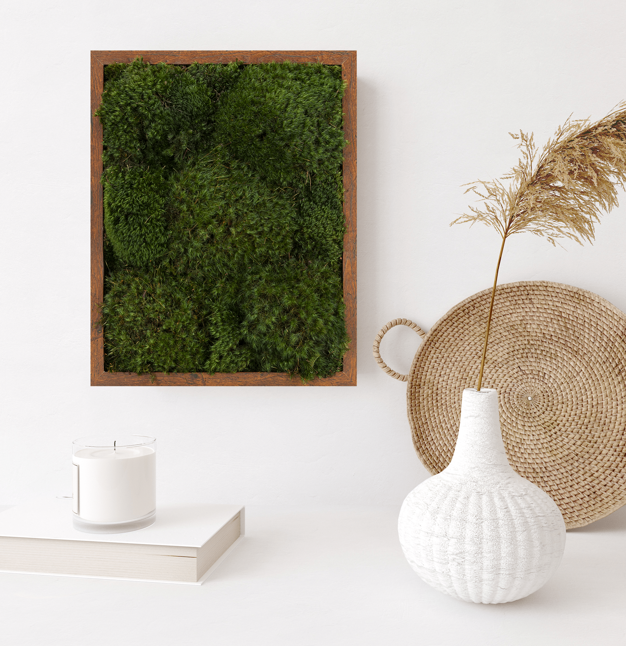 Build Your Live Moss Wall Art - Sheet Moss White 11x14x2