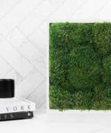 Moss Pure moss wall art moss walls live moss