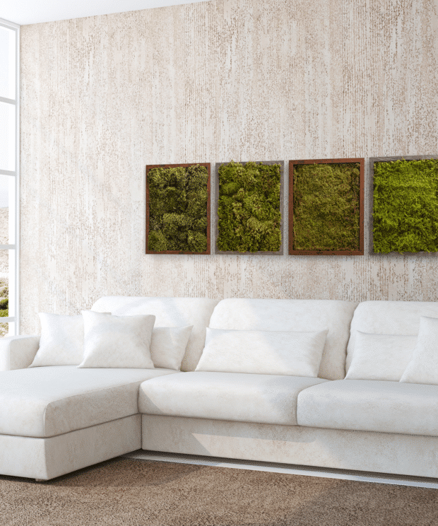 Live Mood Moss Wall Art in White, 12x 12