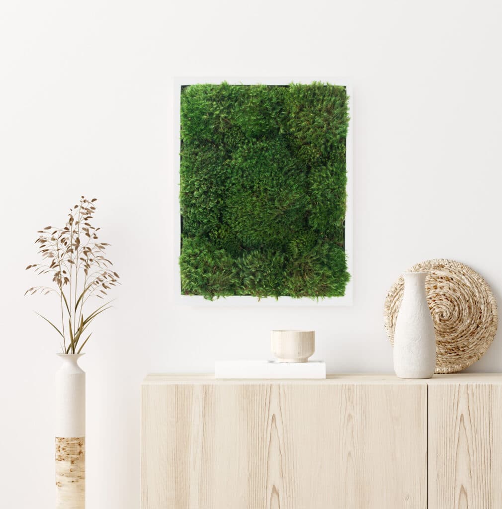 Moss Pure moss wall art moss walls live moss