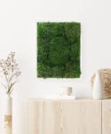 Moss Pure moss wall art moss walls live moss