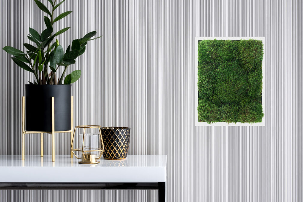 Live moss Moss Pure moss walls moss wall art living wall