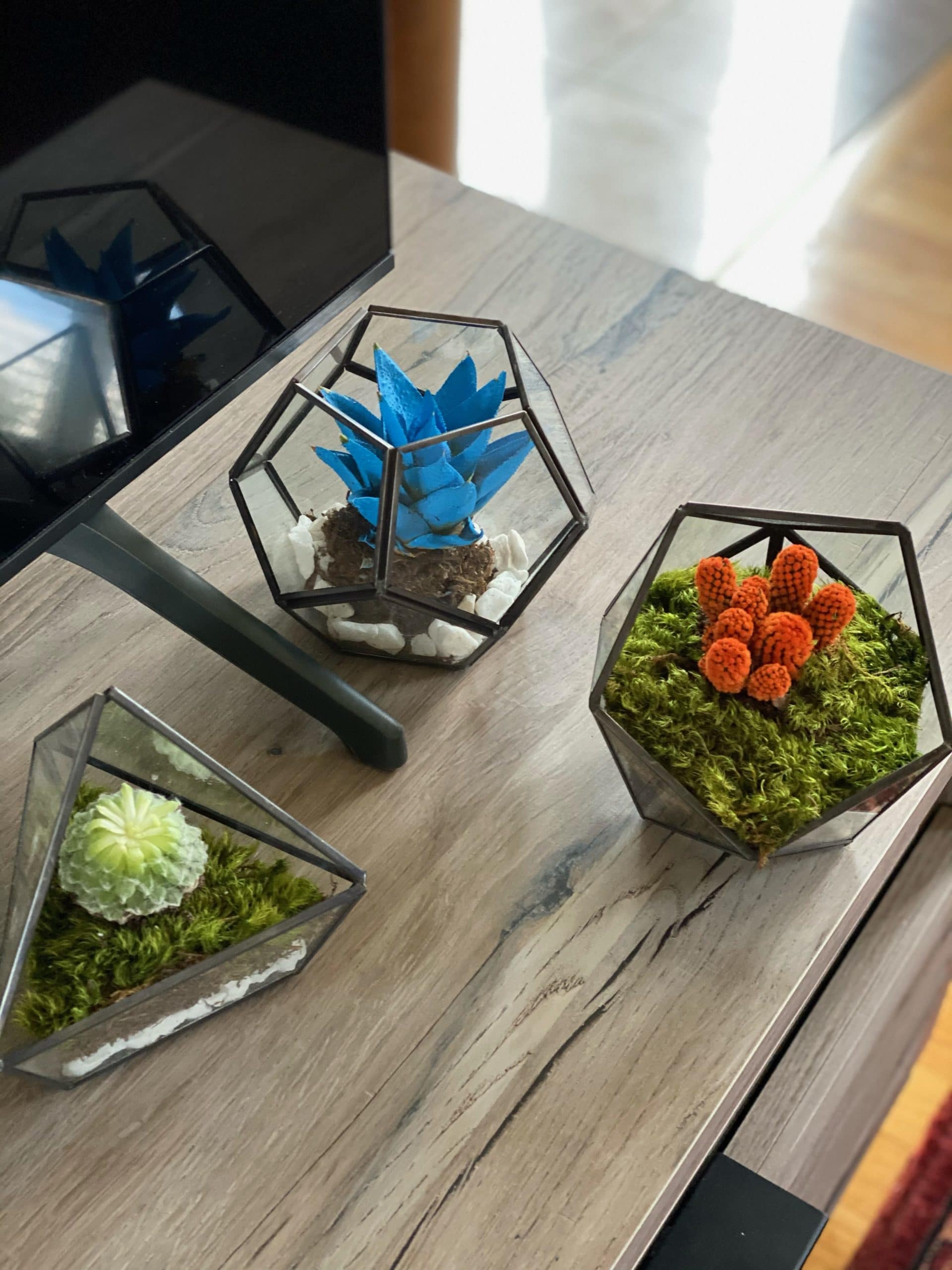 Moss terrarium and moss decor for your home. Living moss terrarium in a living room. Living moss wall decor that improves air quality and provides therapeutic relief from stress and anxiety. Moss decor home.