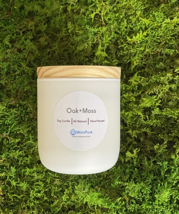 Moss Pure Oak + Moss Soy Candle