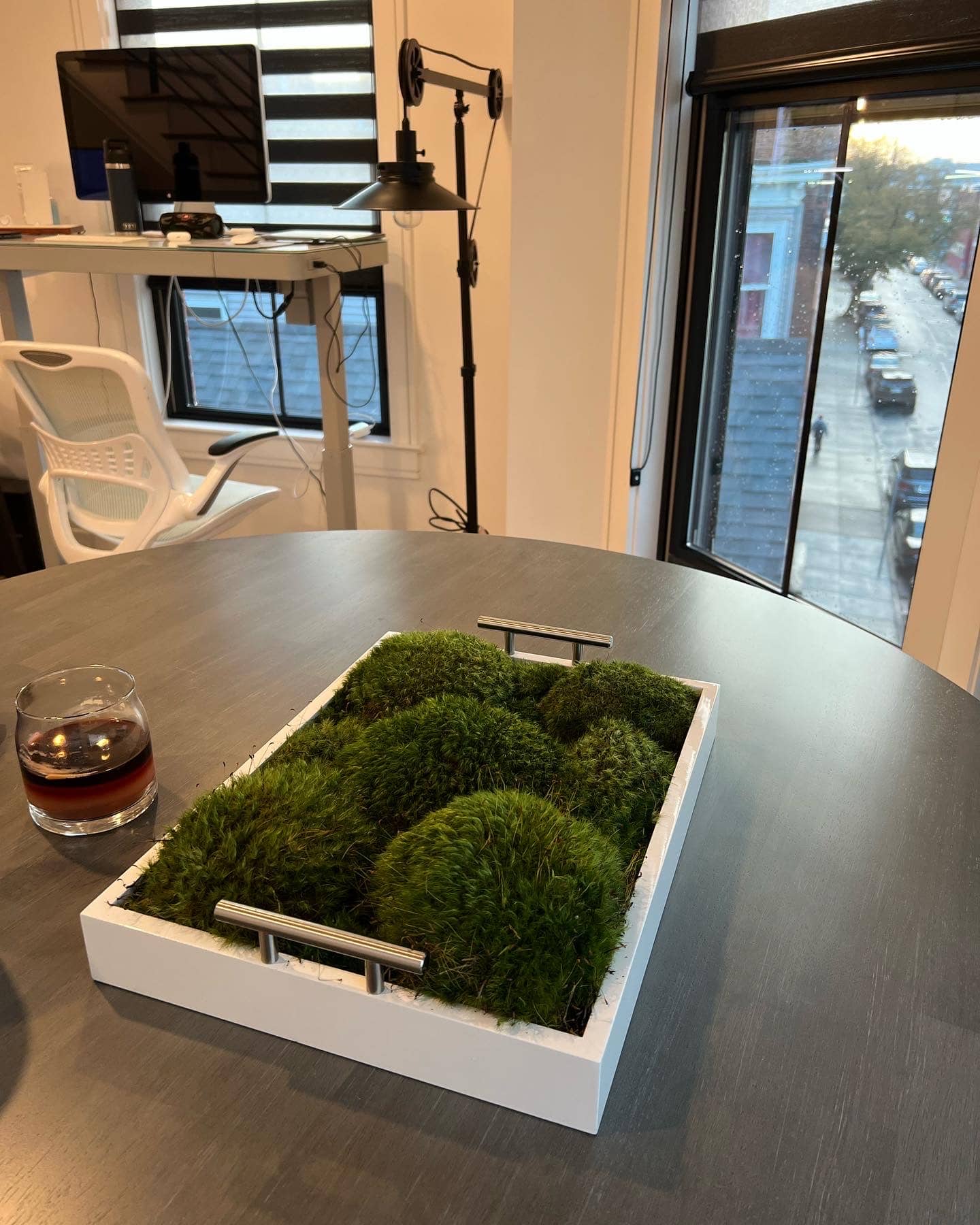 Live Mood Moss Tray in White - Shop Now