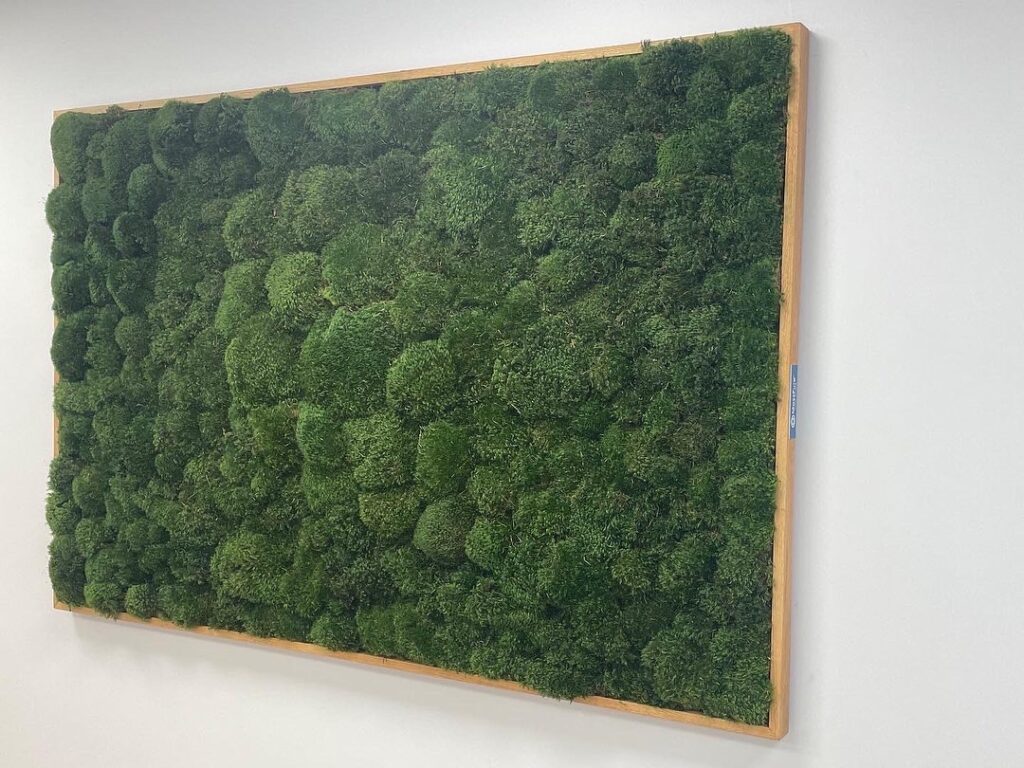 indoor live mood moss wall frame. Custom moss frame for a business.