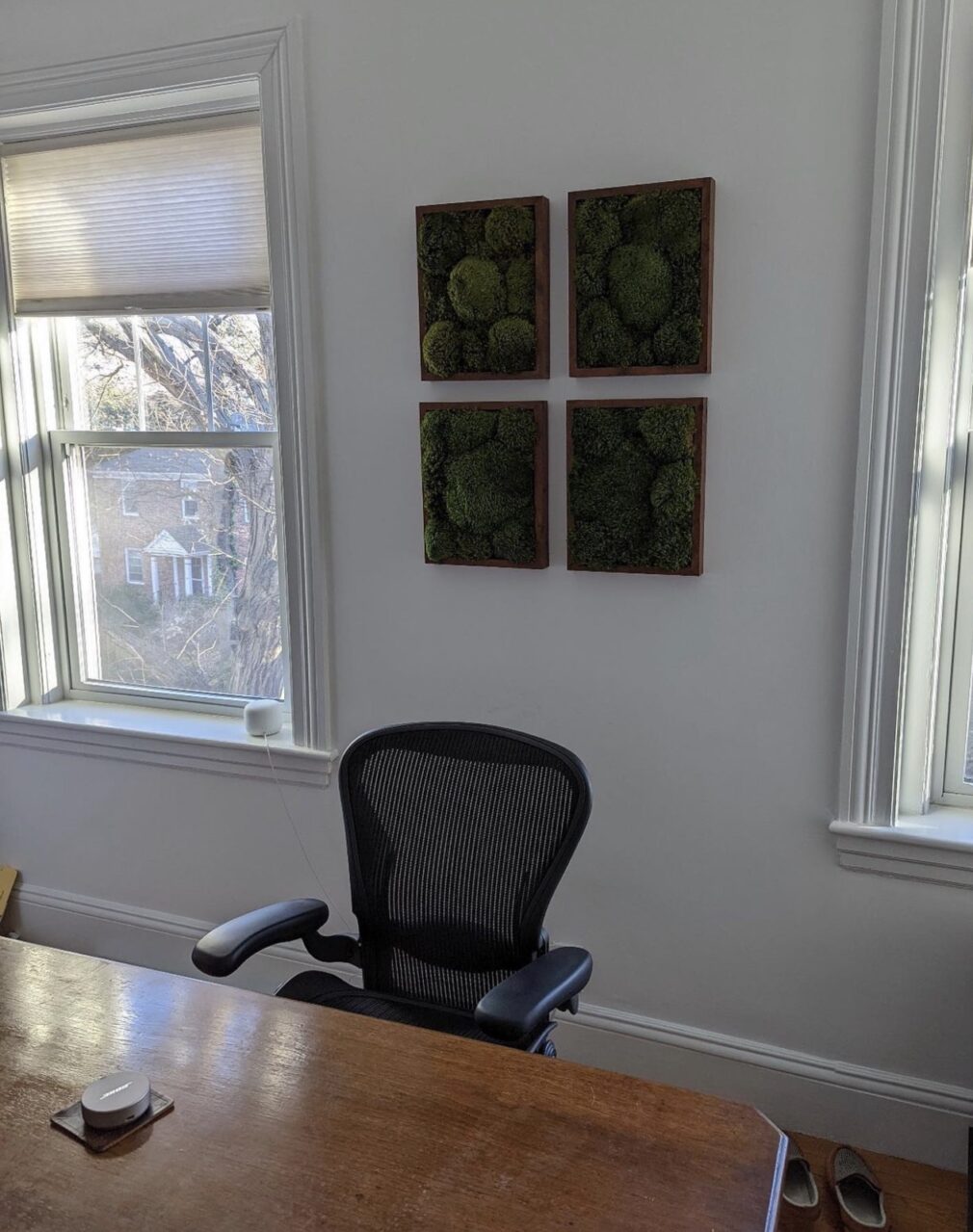 moss wall art