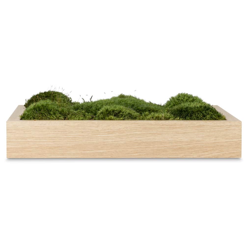 moss wall art