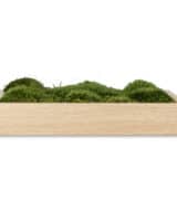 moss wall art