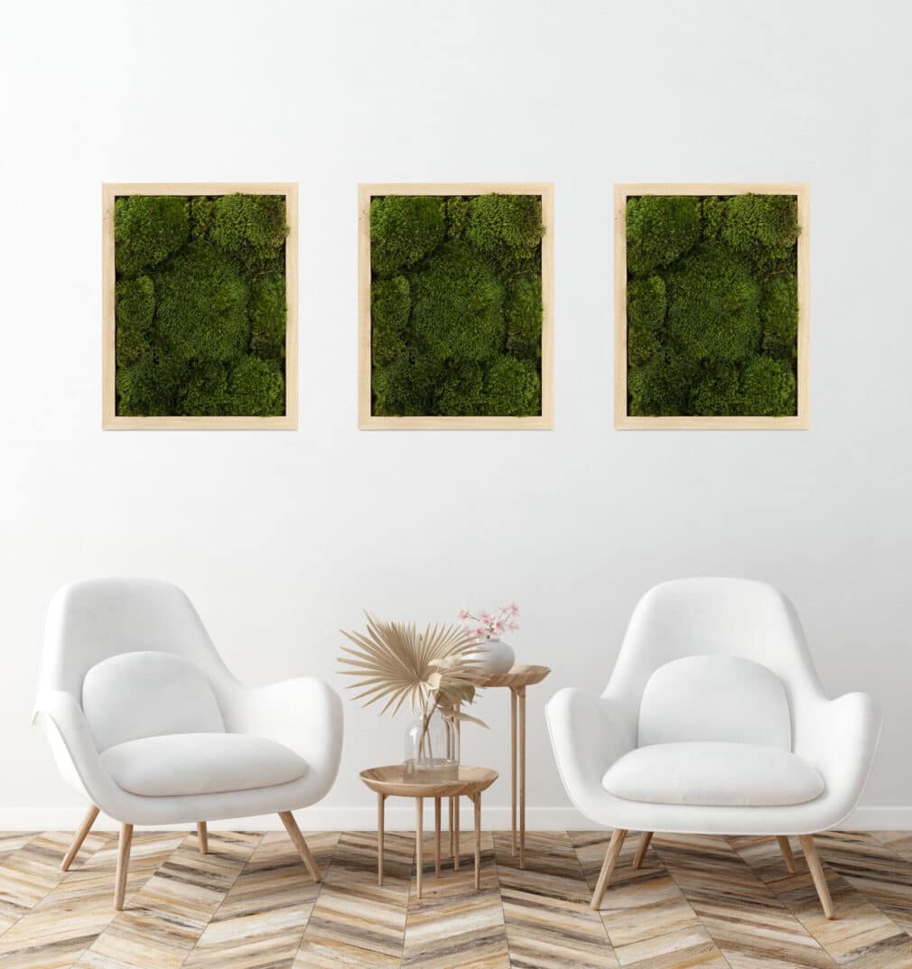 Moss Pure living moss wall art in a luxury apartment living room,