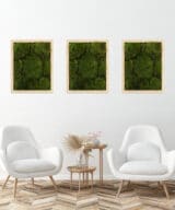 Moss Pure living moss wall art in a luxury apartment living room,