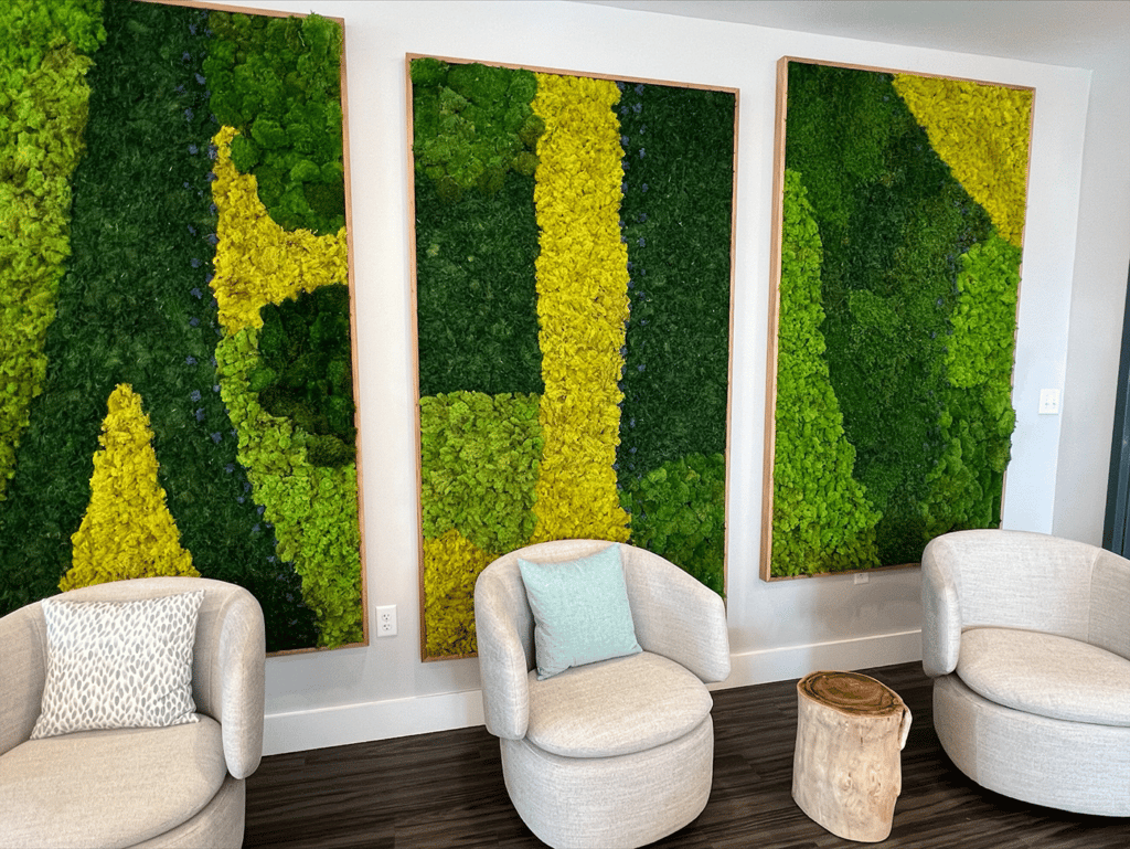 Indoor Moss Wall Moss Pure Moss Frame