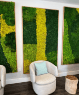 Indoor Moss Wall Moss Pure Moss Frame