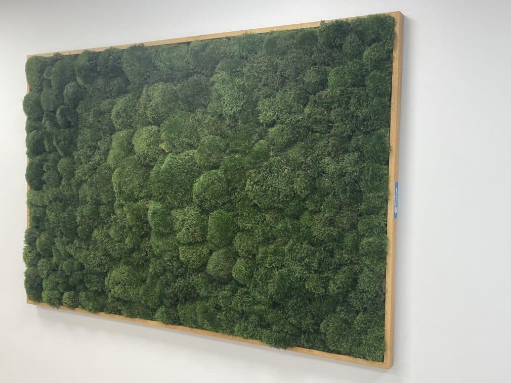 Moss Pure custom moss wall indoors green wall in office lobby interior design boho