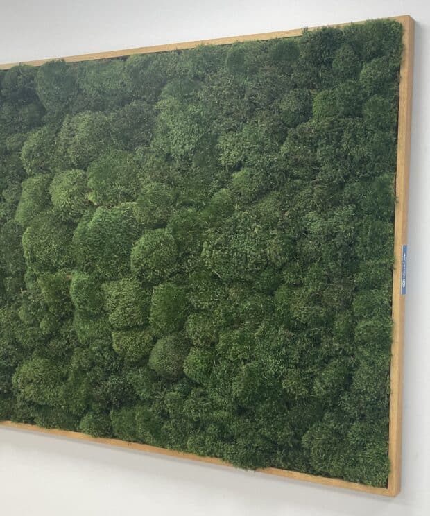Moss Pure custom moss wall indoors green wall in office lobby interior design boho