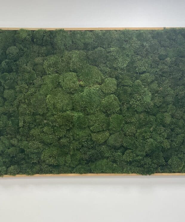 Moss Pure Custom Moss Wall In Office Lobby. moss wall art