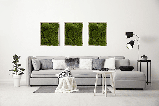 Moss Pure Moss wall art gray frame improve air quality provide stress relief.