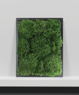 Moss Pure Live Moss Wall Art in Black