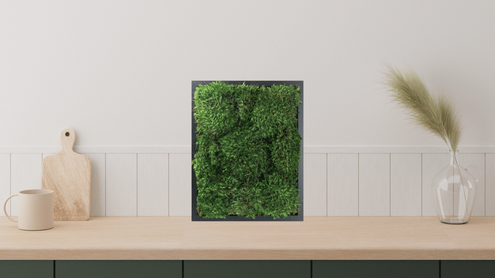 Moss Pure moss frame in kitchen