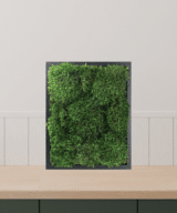 Moss Pure moss frame in kitchen