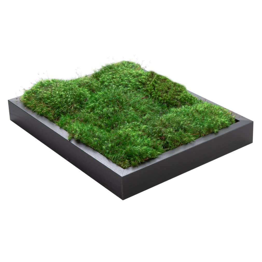 Moss Pure Moss Wall Frame Luxury Green Wall Decor