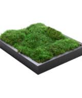 Moss Pure Moss Wall Frame Luxury Green Wall Decor