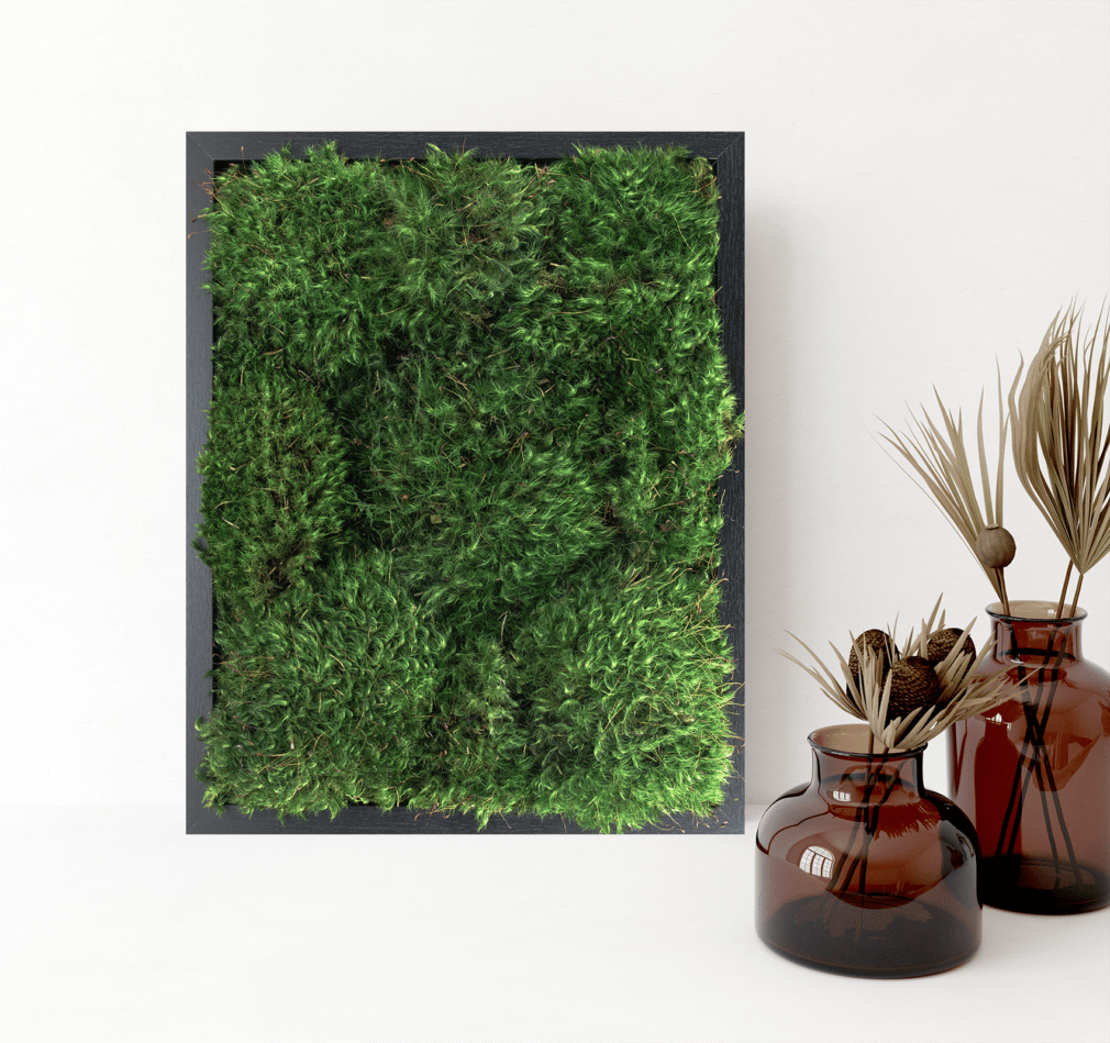 Moss Pure live moss wall art moss frame living wall