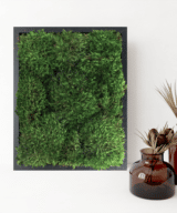 Moss Pure live moss wall art moss frame living wall