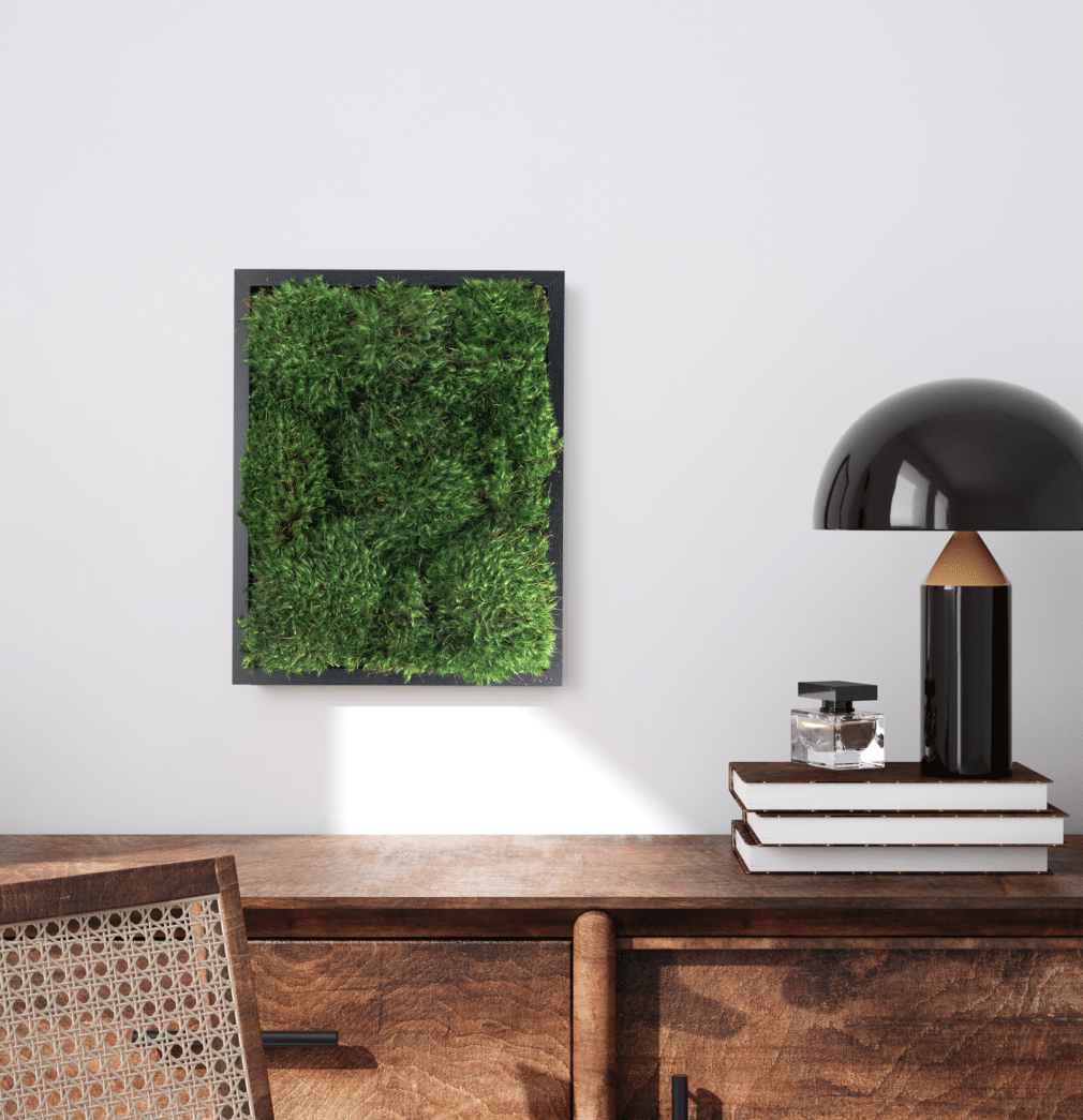 Moss Pure moss frame in office