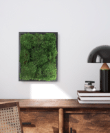 Moss Pure moss frame in office