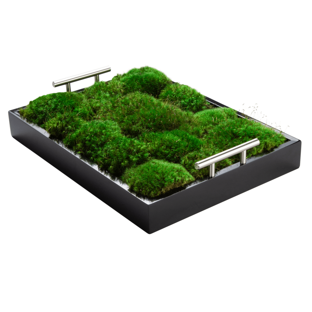 Moss Pure live moss tray for tabletop decor.