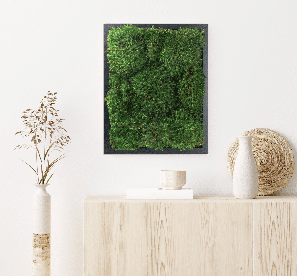 Moss Pure live moss wall moss frame moss wall art