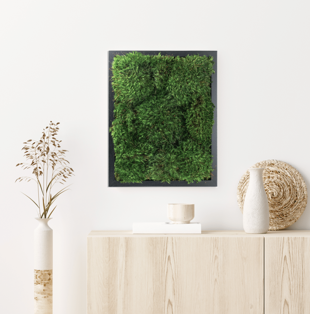 Moss Pure Live Moss Wall Art in Black