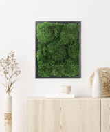 Moss Pure Live Moss Wall Art in Black