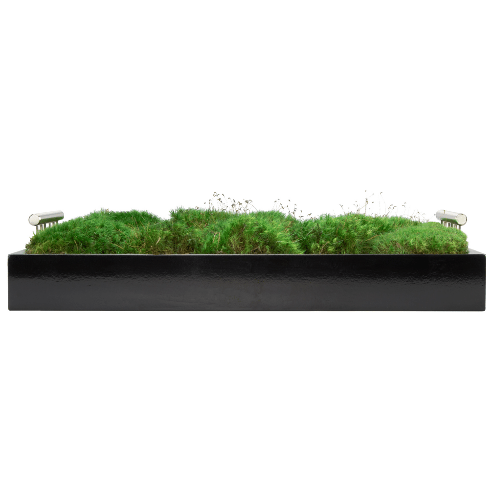 Moss Pure moss wall frame moss wall moss frame