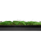 Moss Pure moss wall frame moss wall moss frame