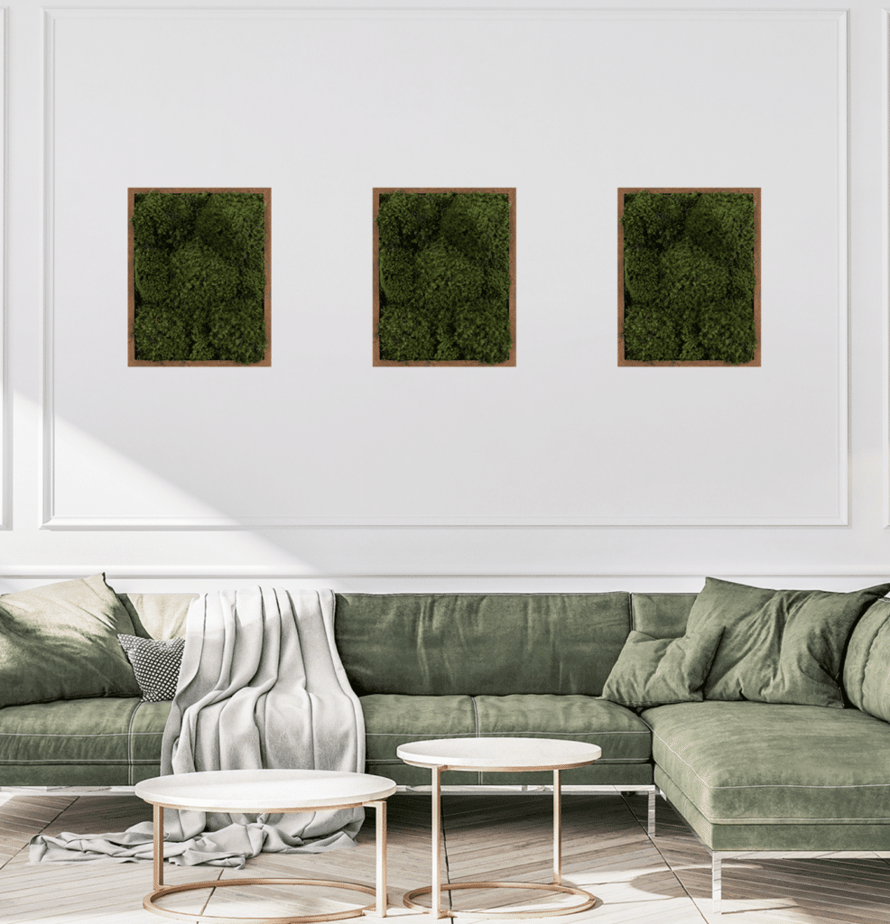 Moss Pure live moss wall art moss frame