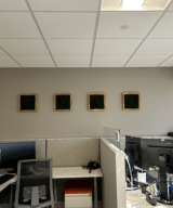 Moss Pure live moss wall moss frame