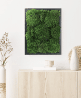 Moss Pure live moss wall moss art moss wall art living wall green wall