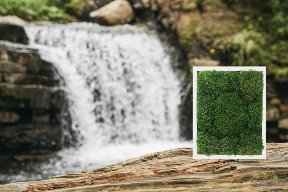 Moss Pure Air Filter Moss Wall Bathroom Decor Living Wall Interior Design, home staging, hotel decor