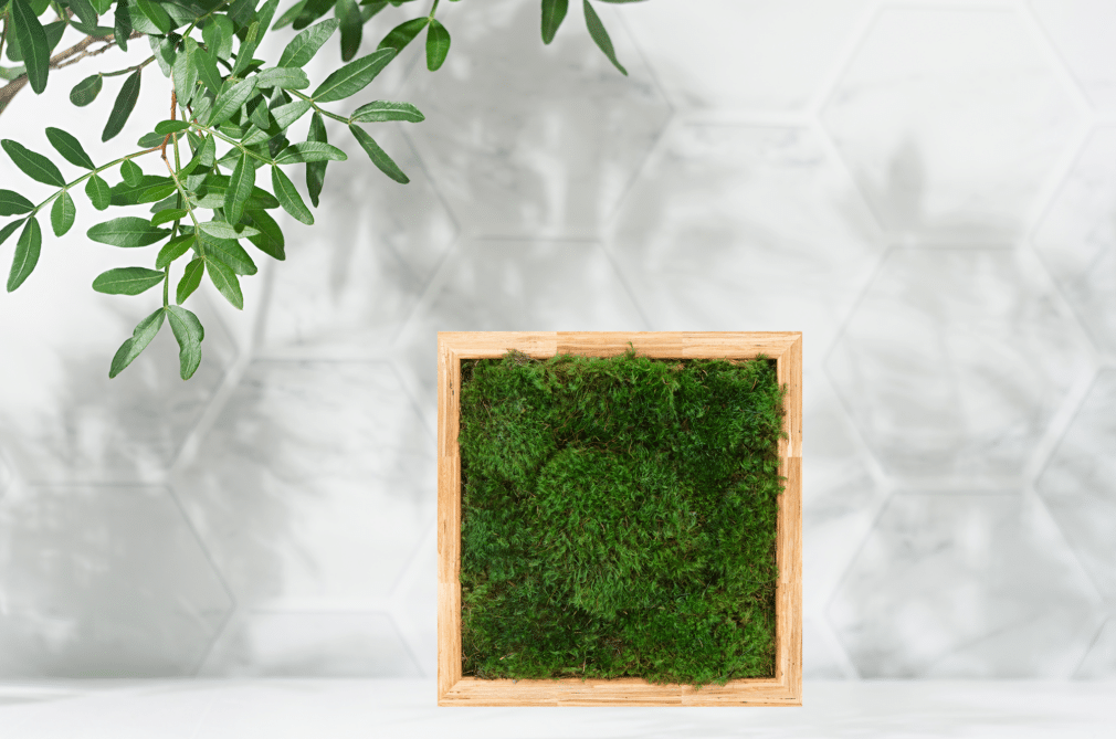 Moss Pure live moss wall art made of recycled chopsticks from Boston, area restaurants. Living wall art, preserved moss, moss decor, green wall, interior design, home staging, hotel decor, office decor