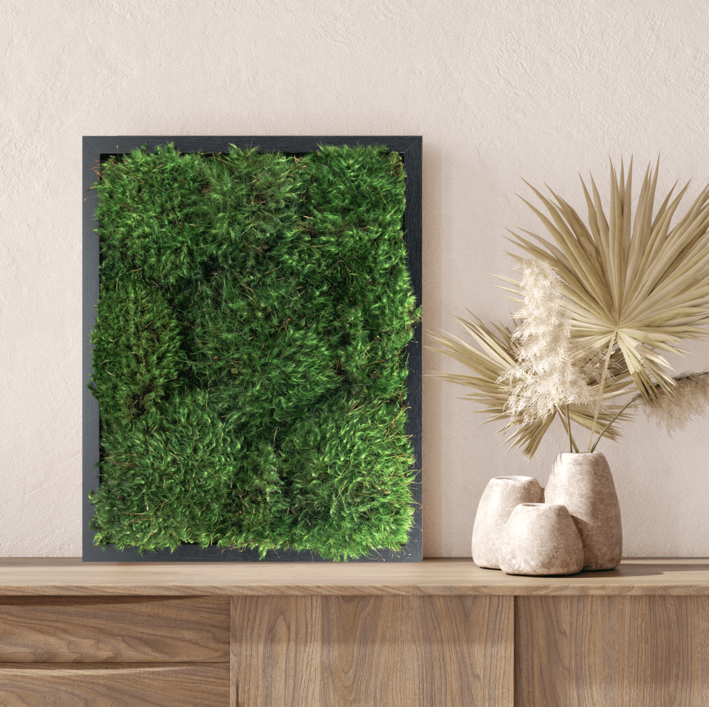 Build Your Live Moss Wall Art - Sheet Moss White 11x14x2