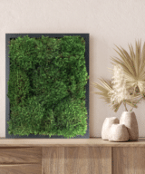 Moss Pure moss wall art moss walls