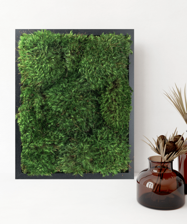 Moss Pure Air Filter Moss Wall Bathroom Decor Living Wall Interior Design