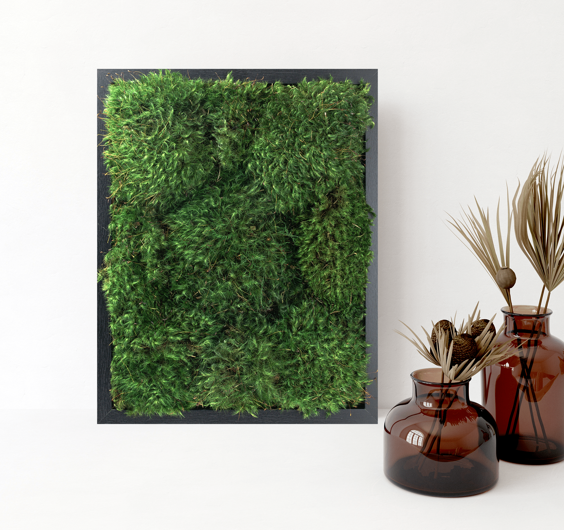 MossAire Living Moss Wall Frame: A Natural Air Filter & Stress Relief –  Moss Acres Biophilic Studio & Workshop